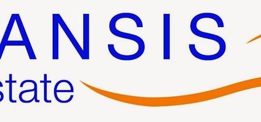 Chansis Real Estate