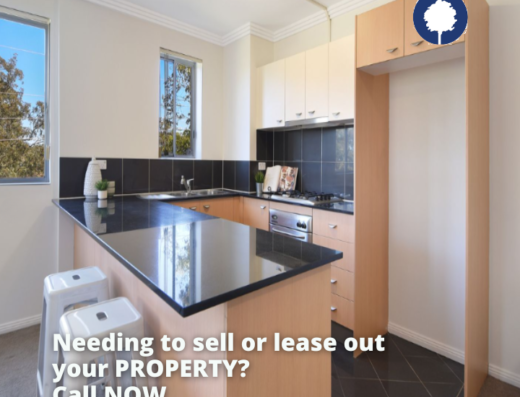 John Pye Real Estate