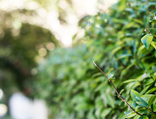 Nick Muzha – McGrath Estate Agents Wahroonga
