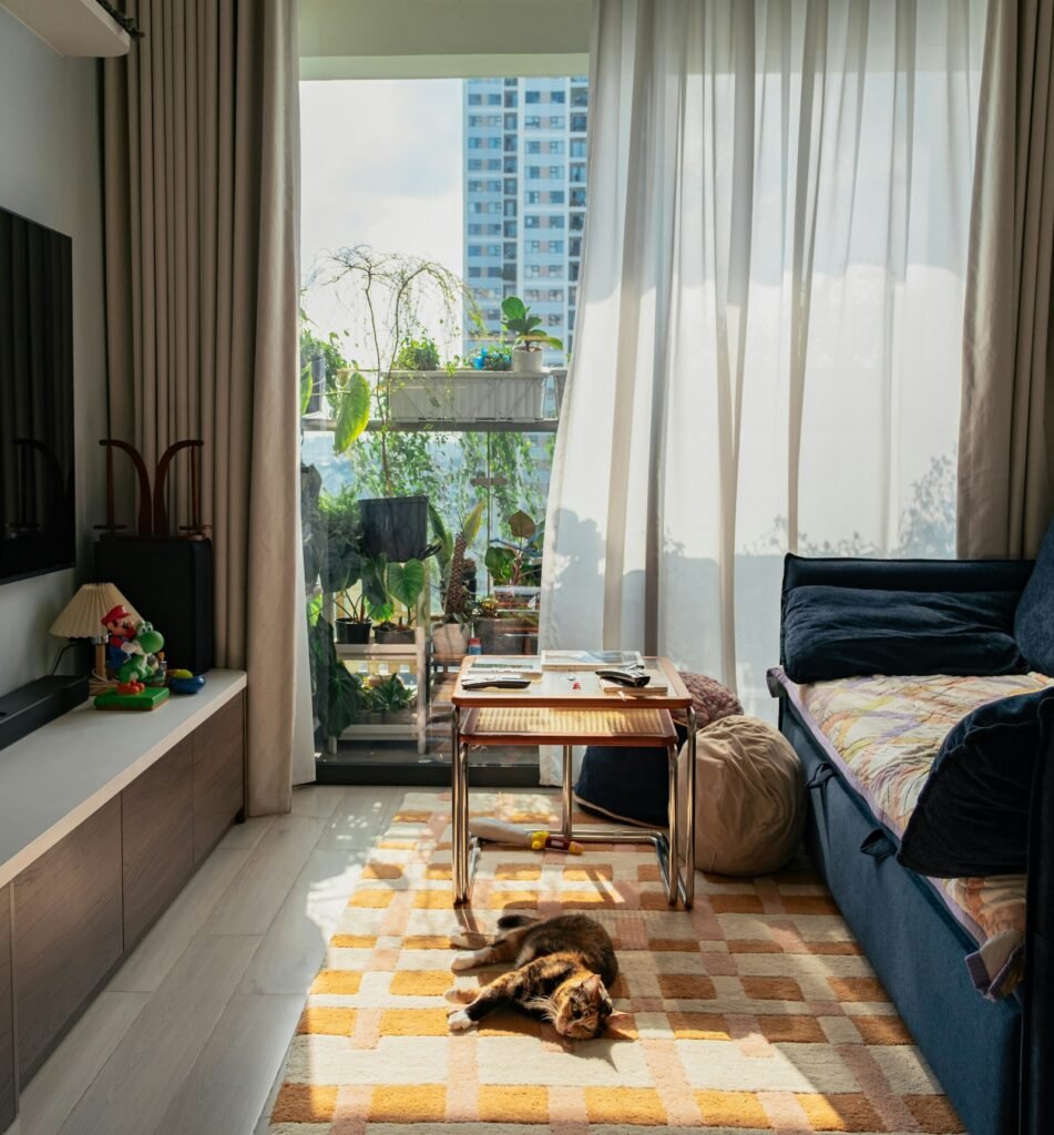 Cat resting on a rug in a sunlit apartment living area